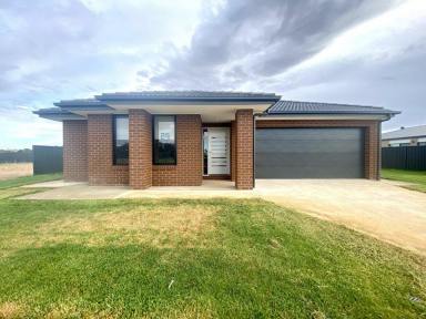 House For Lease - NSW - Moama - 2731 - Perfect Location - Ideal family home  (Image 2)