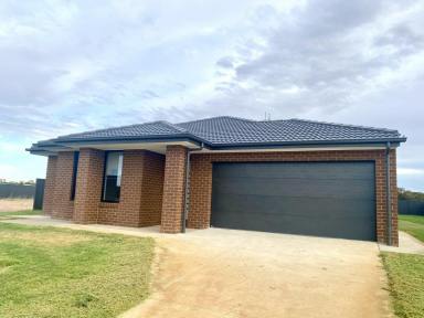 House For Lease - NSW - Moama - 2731 - Perfect Location - Ideal family home  (Image 2)