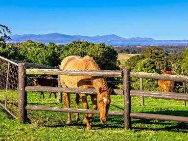 Lifestyle For Sale - VIC - Foster - 3960 - Panoramic Views and Country Charm at 'Findlatree Cottage'  (Image 2)
