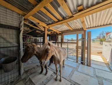 House For Sale - VIC - Boort - 3537 - 4 Bedroom Family Home with Dual Access  (Image 2)