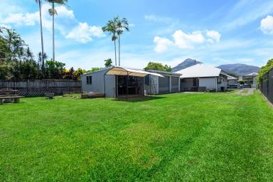 House Sold - QLD - Gordonvale - 4865 - Refined Queenslander Elegance with Open-Plan Living  (Image 2)