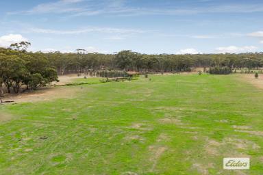 Other (Rural) For Sale - VIC - Dunolly - 3472 - 20 Acres of Fertile Land in the Golden Triangle  (Image 2)
