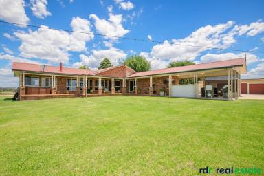 Acreage/Semi-rural For Sale - NSW - Inverell - 2360 - "ALLENCOURT" - YOUR NEXT CHAPTER  (Image 2)