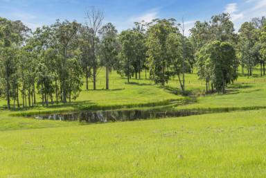 Acreage/Semi-rural For Sale - QLD - Woondum - 4570 - A Private Country Haven with Productive Paddocks and Elevated Lifestyle Appeal  (Image 2)