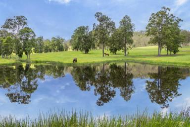 Acreage/Semi-rural For Sale - QLD - Woondum - 4570 - A Private Country Haven with Productive Paddocks and Elevated Lifestyle Appeal  (Image 2)
