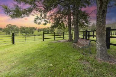 Acreage/Semi-rural For Sale - QLD - Woondum - 4570 - A Private Country Haven with Productive Paddocks and Elevated Lifestyle Appeal  (Image 2)