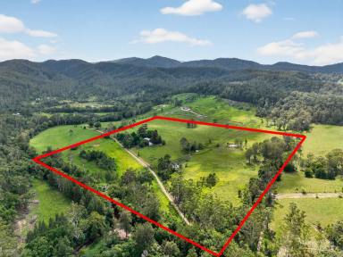 Livestock For Sale - NSW - Bobin - 2429 - CREEKSIDE COUNTRY LIVING AT ITS FINEST  (Image 2)