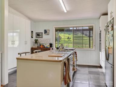 Livestock For Sale - NSW - Bobin - 2429 - CREEKSIDE COUNTRY LIVING AT ITS FINEST  (Image 2)