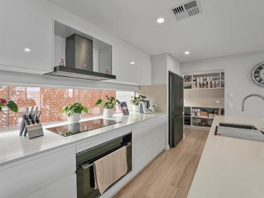 House For Sale - TAS - Coles Bay - 7215 - Modern Luxury + Space = Coastal Living & Opportunity (Image 2)