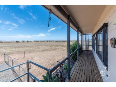 Acreage/Semi-rural For Sale - SA - Mannum - 5238 - Country lifestyle on acreage  (Image 2)