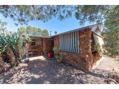 Acreage/Semi-rural For Sale - SA - Rockleigh - 5254 - A Unique Rural Escape and Lifestyle Opportunity  (Image 2)