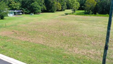 Residential Block For Sale - QLD - Tully Heads - 4854 - Vacant Block at Tully Heads  (Image 2)
