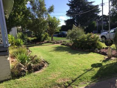 House For Lease - NSW - Muswellbrook - 2333 - THREE BEDROOM HOME ALL REFURBISHED.....NEW CARPETS, PAINT WORK AND FRESH NEW KITCHEN  (Image 2)