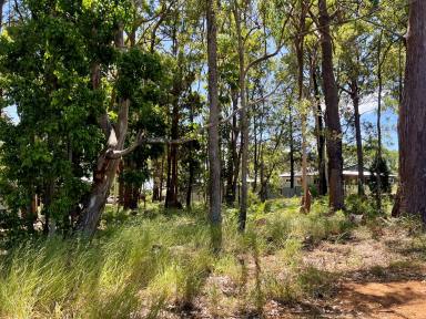 Residential Block For Sale - QLD - Macleay Island - 4184 - Attention Builders... 20.1m frontage, sandy soil & flat 607m2 block!  (Image 2)