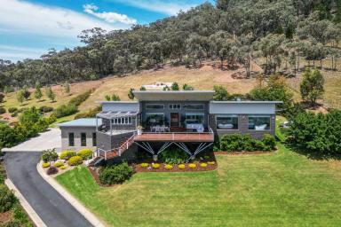 House For Sale - NSW - Mudgee - 2850 - PRESTIGIOUS MUDGEE RESIDENCE BOASTING PANORAMIC VIEWS  (Image 2)