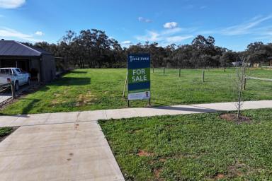 Residential Block For Sale - VIC - Echuca - 3564 - GENEROUS 1,434m² ALLOTMENT IN A PRIME ECHUCA LOCATION (Image 2)