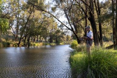 Mixed Farming For Sale - NSW - Inverell - 2360 - Grazing Property with River Frontage  (Image 2)
