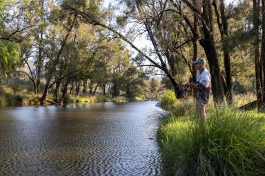 Mixed Farming Sold - NSW - Inverell - 2360 - Grazing Property with River Frontage  (Image 2)