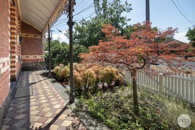 House For Sale - VIC - Soldiers Hill - 3350 - Stunning Brick Victorian On Prestigious Lydiard Street North  (Image 2)