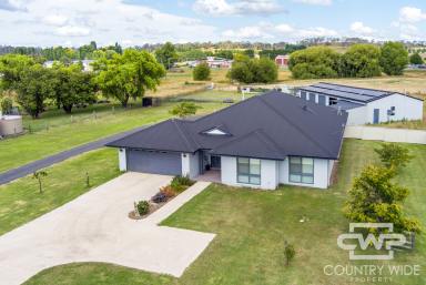 House For Sale - NSW - Glen Innes - 2370 - Acreage As Close To Town As Can Be  (Image 2)