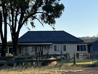Acreage/Semi-rural For Sale - NSW - Dunedoo - 2844 - House, sheds and land for sale  (Image 2)