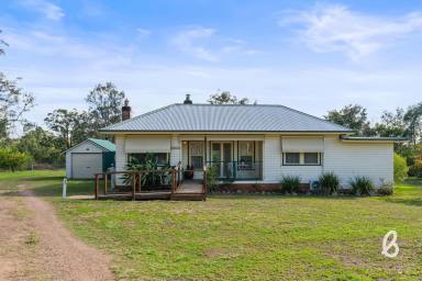 Other (Rural) For Sale - NSW - Singleton - 2330 - "Greystanes" – Rare Acreage Holding Just 3km from Town (Image 2)