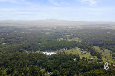 Other (Rural) For Sale - NSW - Singleton - 2330 - "Greystanes" – Rare Acreage Holding Just 3km from Town (Image 2)