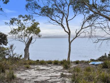 Residential Block For Sale - TAS - Saltwater River - 7186 - A rare slice of Tasman Peninsula tranquility  (Image 2)