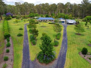 Acreage/Semi-rural For Sale - NSW - Nabiac - 2312 - Country Living with Space & Shedding  (Image 2)
