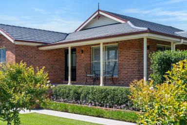 House Sold - NSW - Singleton - 2330 - Master Built home in Sought After Location (Image 2)