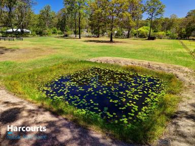 Residential Block For Sale - NSW - Nabiac - 2312 - Build, Store, Escape — 2.5 Acres with Entitlement  (Image 2)