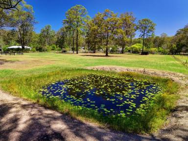 Residential Block For Sale - NSW - Nabiac - 2312 - Build, Store, Escape — 2.5 Acres with Entitlement  (Image 2)