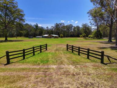 Residential Block For Sale - NSW - Nabiac - 2312 - Build, Store, Escape — 2.5 Acres with Entitlement  (Image 2)
