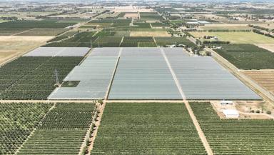 Horticulture For Sale - VIC - Orrvale - 3631 - Institutional-Scale Pome Fruit Enterprise with 2,012ML* of Water Entitlements, a State-of-the-Art Packing Shed & Cool Room Facilities  (Image 2)