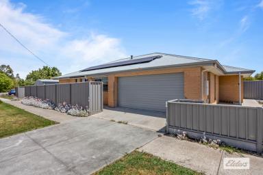 House For Sale - VIC - Ararat - 3377 - A Home That Understands Your Next Chapter – Comfort, Efficiency & Peace of Mind  (Image 2)