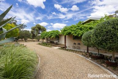 House For Sale - NSW - Lake Albert - 2650 - The Perfect Blend of Rustic Elegance & Luxe Inclusions (Image 2)