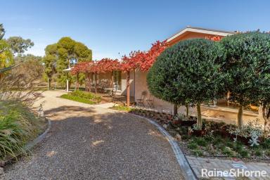 House For Sale - NSW - Lake Albert - 2650 - The Perfect Blend of Rustic Elegance & Luxe Inclusions (Image 2)