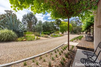 House For Sale - NSW - Lake Albert - 2650 - The Perfect Blend of Rustic Elegance & Luxe Inclusions  (Image 2)