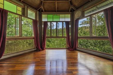 House For Sale - QLD - Armstrong Creek - 4520 - Explore nature at its best - Home and studio on 5 acres!  (Image 2)