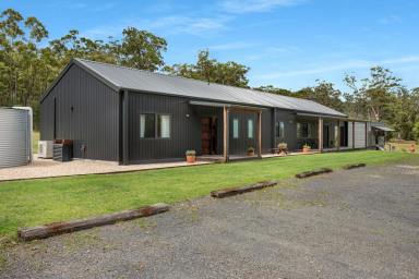 Lifestyle For Sale - NSW - Sussex Inlet - 2540 - Off-grid Modern Retreat on 20 Acres  (Image 2)