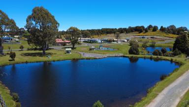 Residential Block For Sale - TAS - Waratah - 7321 - Secluded at Sprent Street West  (Image 2)