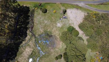 Residential Block For Sale - TAS - Waratah - 7321 - Secluded at Sprent Street West  (Image 2)