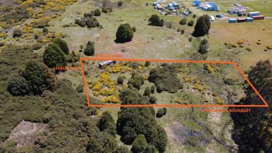 Residential Block For Sale - TAS - Waratah - 7321 - Secluded at Sprent Street West  (Image 2)