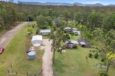 House For Sale - QLD - Glenwood - 4570 - ROOM TO LIVE, ROOM TO DREAM (Image 2)