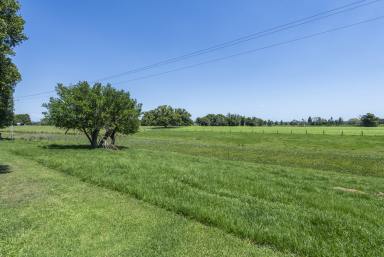 Livestock For Sale - NSW - Southgate - 2460 - PRIME ALUMY CREEK LAND WITH HOMESTEAD  (Image 2)