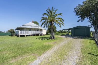 Livestock For Sale - NSW - Southgate - 2460 - PRIME ALUMY CREEK LAND WITH HOMESTEAD  (Image 2)