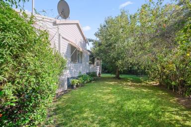 Acreage/Semi-rural For Sale - NSW - Nabiac - 2312 - Charming Hobby Farm Retreat on 12 Acres (Image 2)