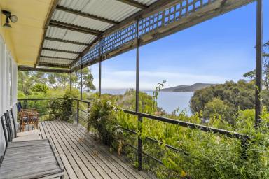 House For Sale - TAS - White Beach - 7184 - A Rare White Beach Gem Adjoining the Waterfront  (Image 2)
