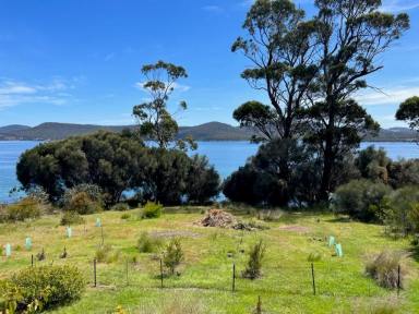 House For Sale - TAS - White Beach - 7184 - A Rare White Beach Gem Adjoining the Waterfront  (Image 2)