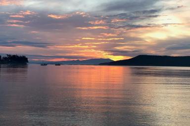 House For Sale - TAS - White Beach - 7184 - A Rare White Beach Gem Adjoining the Waterfront  (Image 2)